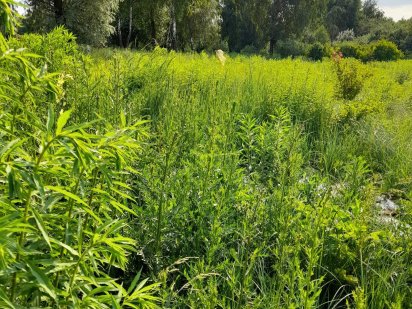 Участок в Киеве 12+7 сот. Соломенский район Київ