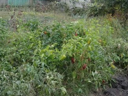 участок на Таирово 4 сотки