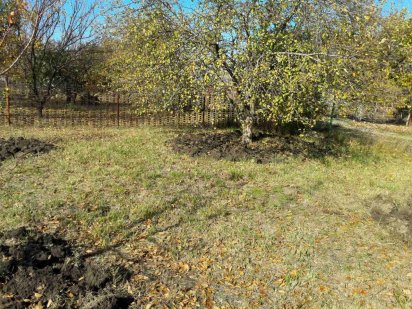 Дачный  участок .. Дніпро