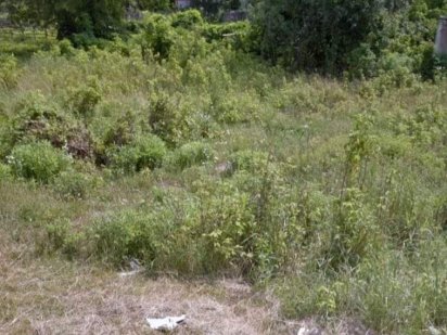 продам участок 9 соток парк зелений гай войцеховича Днепр