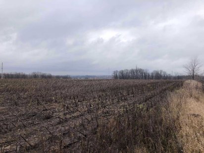 Продам земельный участок ОСГ Сан.Роща Харків