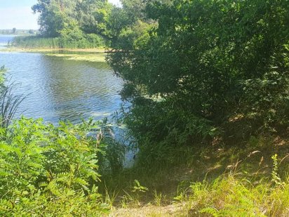 Конча-Заспа 9,3 и более соток у воды, берег Днепр 1 линия свой пляж Киев