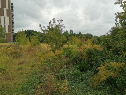 продам землю, Участок, парк Феофания, ул Метрологическая Киев