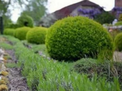Участок под строительство жилого дома .Таирова. ул. Центральная.