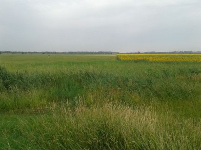 Продам участок  1,7 гектара. Коммерческого назначения ,Без комиссии Дніпро