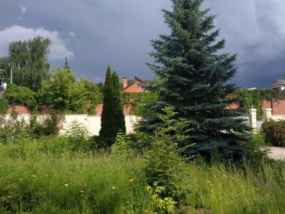 Участок на Сокольниках 30 соток Харків