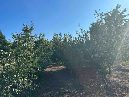 Ділянка землі в Ленселищі Одесса