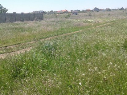 Продам  Одесская область Дофиновка  участок от хозяина Одесса