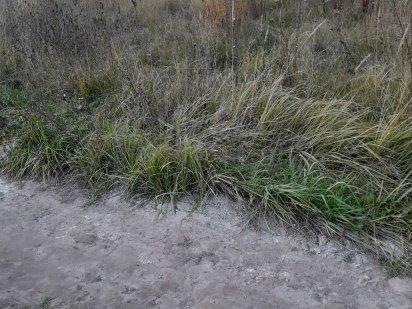 Участок. Вагон. Київ. під Склад сто. 2 сот. та більше (12 с.) Продам Київ