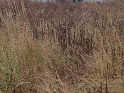 Київ. Ділянку  з будиночком. Приватизована. Солом"янка. Продам Киев