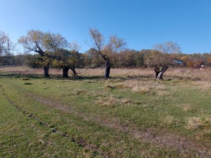 Продам участок 78 соток Царское село Дніпро