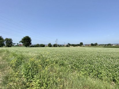 Предлагается к продаже 1 г земли  з документами в черте города Одесса Одеса