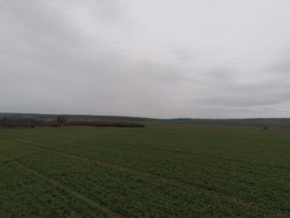 Продам земельные паи Фрунзовка-Захаривка. Площядью 5,6-5,2 г Одеса