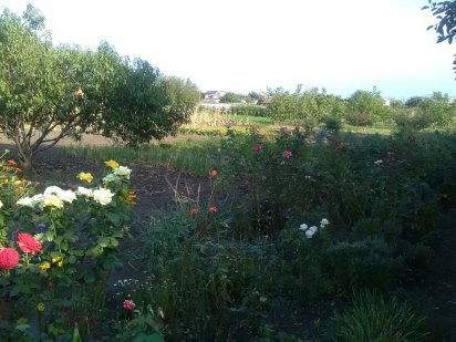 Продам  участок земли Дніпро