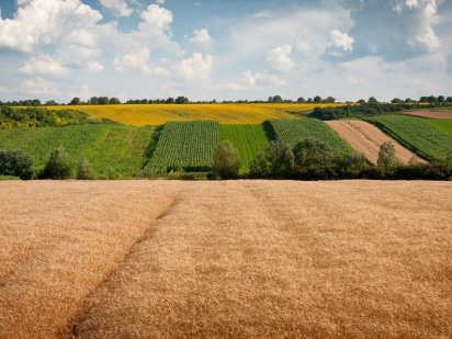 Продам 25 гектар земли в Одесской области Одесса
