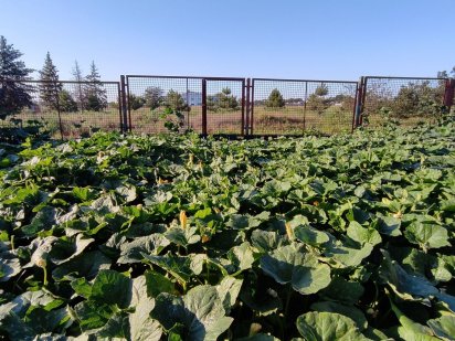 Продам участок на Ленпоселке Одеса