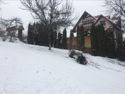 Аркан Котедж оренда будинку житла проживання Guest House Arkan Яремче Яремче