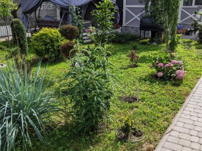 Подобова оренда будинку з карпацький чаном, басейном Полтава