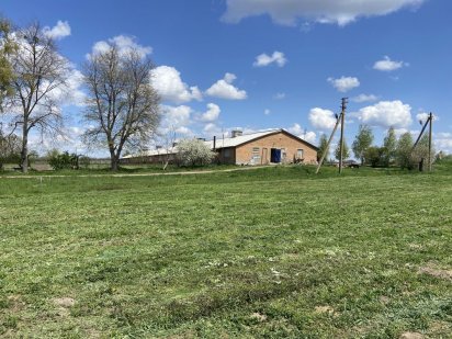 Ферма, свинарник, ангар, склад!! Оренда ферми для вирощування тварин Житомир