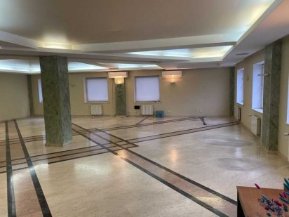 Центр. Оренда. Офіс 245 кв.м в БЦ, є кухня, туалет, вул. Хороброго, 12 Дніпро
