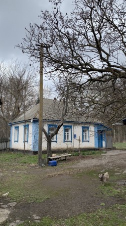 Продаж будинку в Миргороді (Почапці) на 42 сотках - фото 1