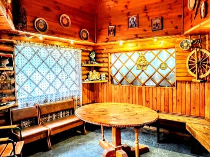 Віла подобово з басейном Киев