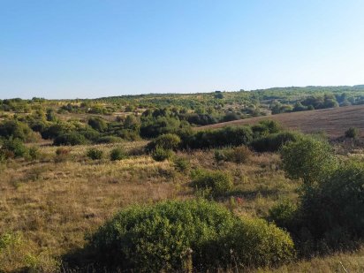 Продаж земельної ділянки, Видрові доли