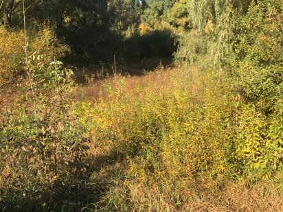 Ділянка під забудову Бровари 12 соток . Бровары