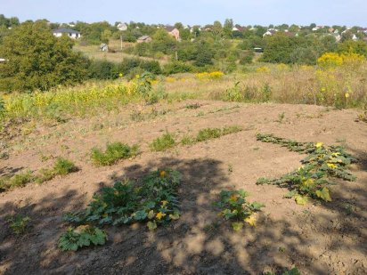 Земельна ділянка Лезневе (Хмельницький) Хмельницький