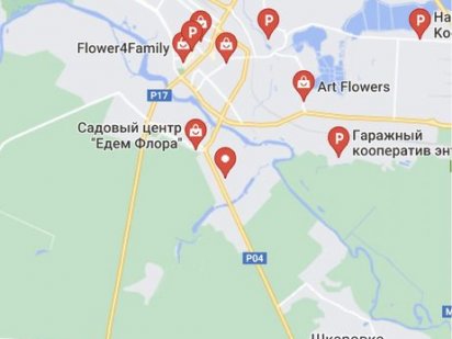 Дачна ділянка «Флора» Белая Церковь