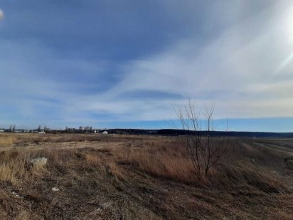 40 соток Поле Дред учхоз Власник Буча