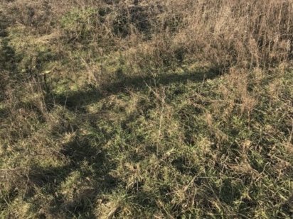 Продам участок на сухоярскій Белая Церковь