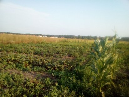 Продам участок на воєнстроі 10сот Белая Церковь