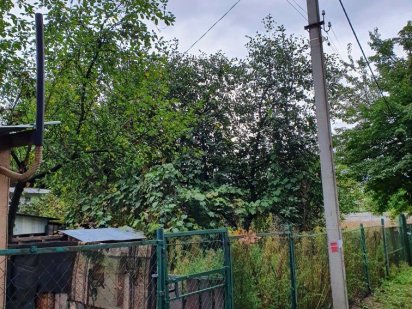 Продам  26 соток  Лісова Буча