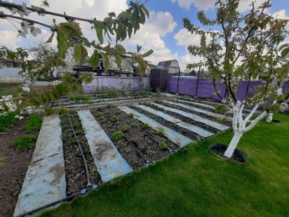 Ділянка, 5 соток, недалеко від центру, терміново Бориспіль