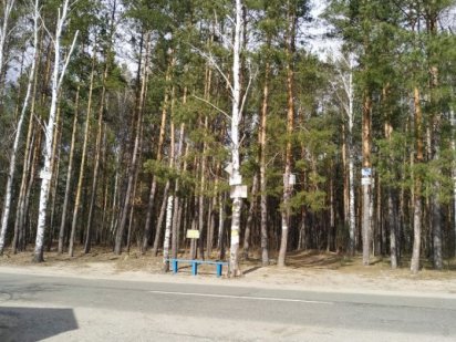 Ділянка між дісом і озером Участок между лесом и озером Пороскотень Буча