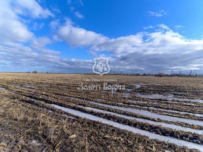 Ділянка с/г призначення, 16 га. Бориспіль, Кільцева дорога Бориспіль