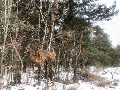 Продаж ділянки в лісі Ирпень