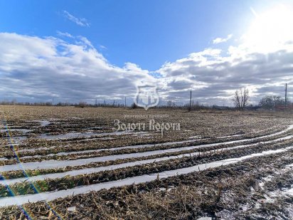 Ділянка с/г призначення, 4,94 га. Бориспіль, Кільцева дорога Бориспіль
