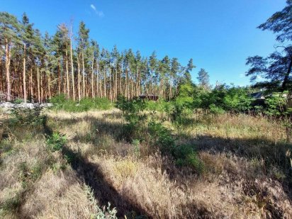 Продаж земельної ділянки  20соток правильної форми м.Буча,Липківського