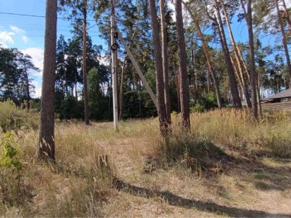 Участок с соснами в Лесной Буче