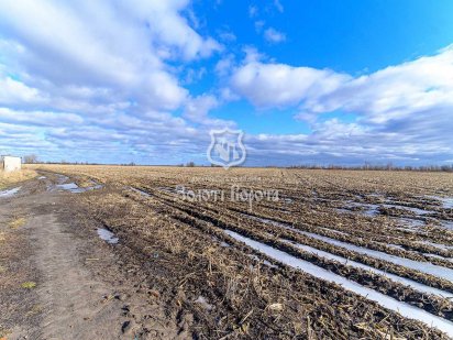 Ділянка с/г призначення, 5,67 га. Бориспіль, Кільцева дорога Бориспіль