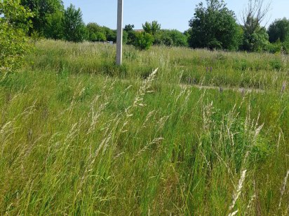 Земельна ділянка під Києвом. Фундамент-вагончик, ток. Продам люб.ціна Бровари