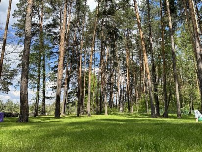 Продам участок в лесу. Левый берег Киева. Бровары Зеленая поляна USDT Бровари