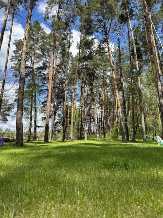 Продам участок в лесу. Левый берег Киева. Бровары Зеленая поляна USDT - фото 1