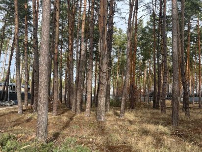 Земельна кутова ділянка правильної форми