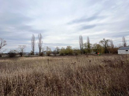 Земельна ділянка 20 соток, поле ДРЕД. Сусіди живуть. Терміново! Ирпень