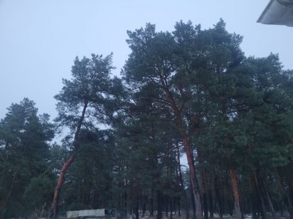 Дача дачна ділянка Кременчук