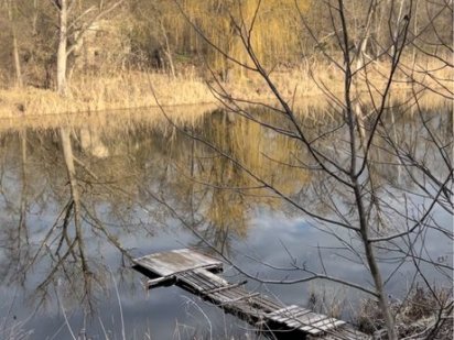 Продаю дачный участок на берегу реки ст «Вишенька» Кривий Ріг