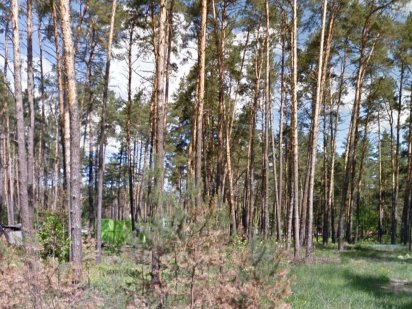 Буча вул. Києво-Мироцька, земельна ділянка 12 соток продаж